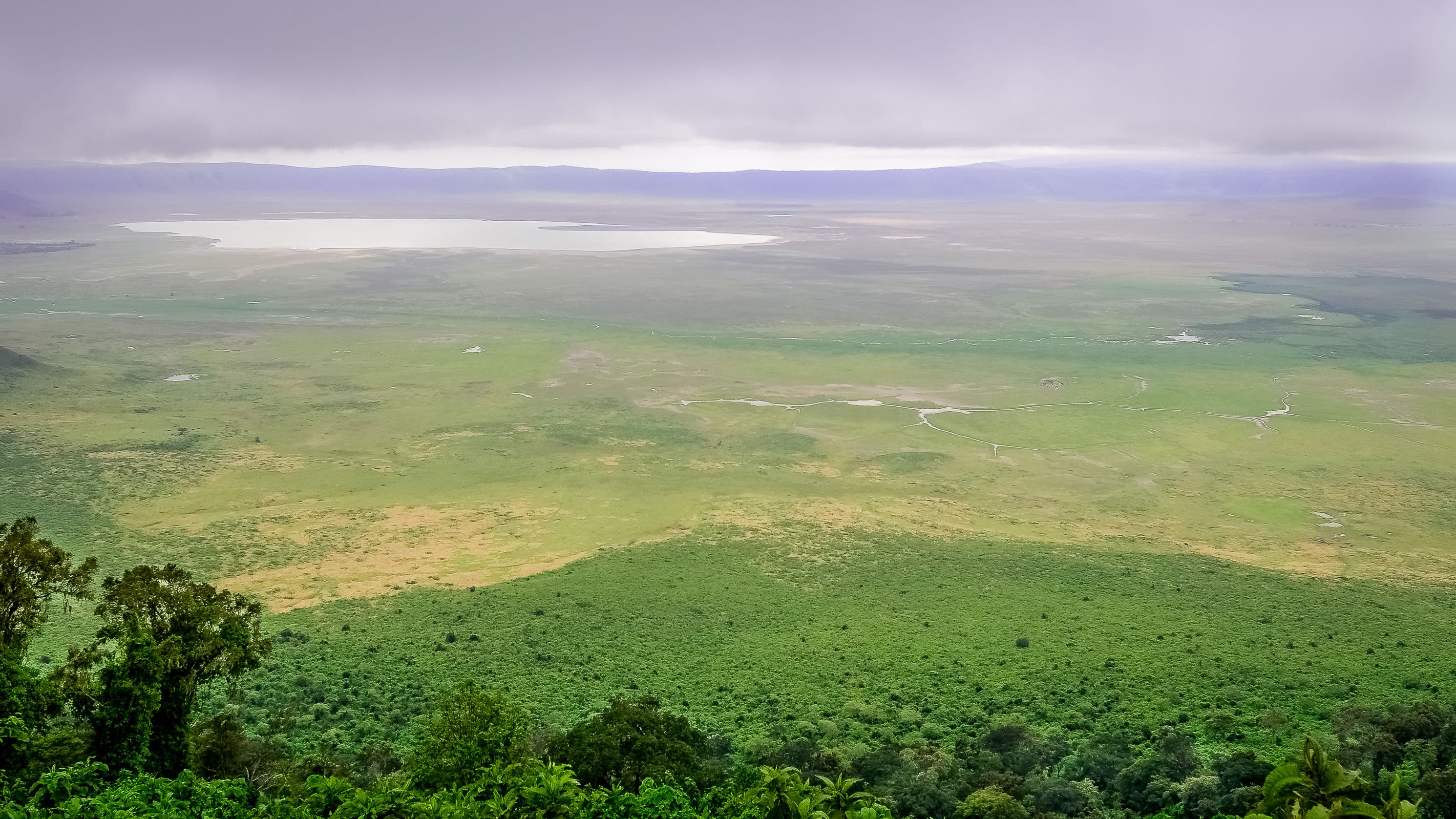 View across the Ngorongoro Crater caldera floor from the rim